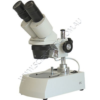 Stereo microscope image