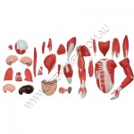 BM600056 Small image
